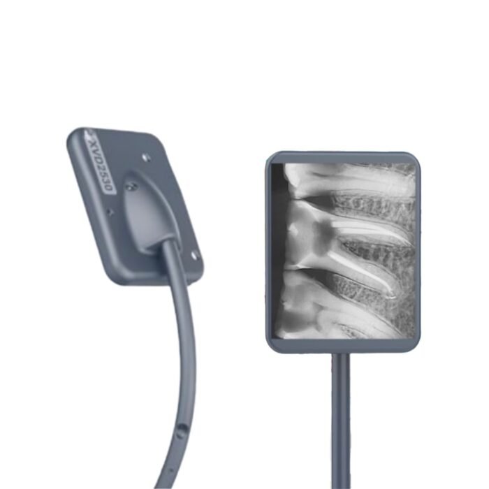 Capteur RVG Xpectvision Taille 1.5