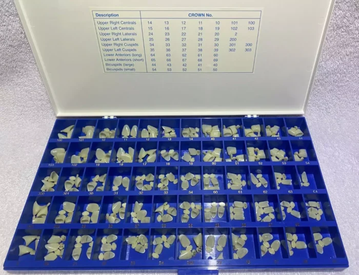 Coffret des dents temporaires 180 pcs ( molaire pré-molaire incisive et centrale )